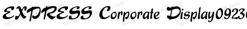 EXPRESS Corporate Display092309 Bol字体转换
